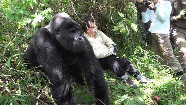 Yala Gorilla Trekking