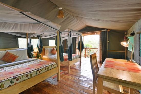 Twin Suite