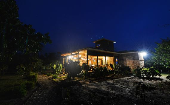Bugome-Jungle-Lodge