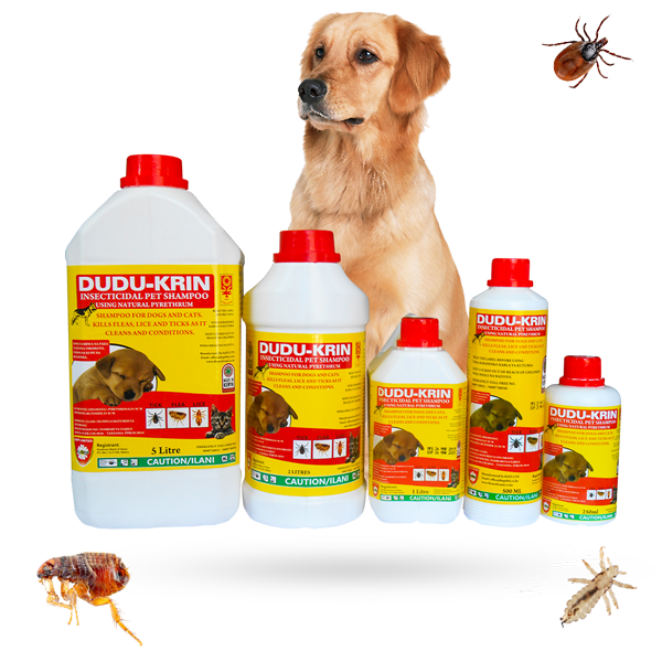Insecticidal dog shampoo online