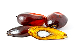 Crude Palm Oil - j-palm Liberia
