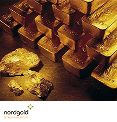 Gold  - Nordgold Africa