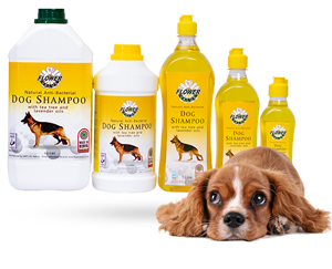 flick dog shampoo