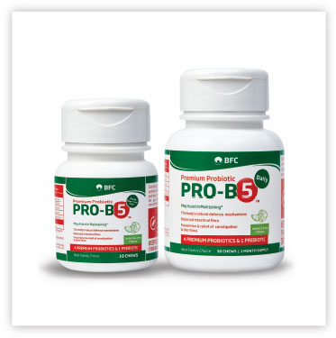 Premium Pro-B5 Chews for Adults