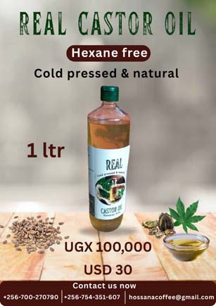 Real Oils