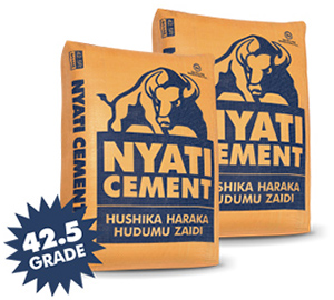 Nyati Cement - Lake Cement Limited