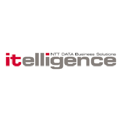 ITELLIGENCE CONSULTING LTD