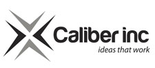 X-Caliber Inc