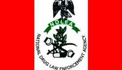 NATIONAL DRUG LAW ENFORCEMENT AGENCY