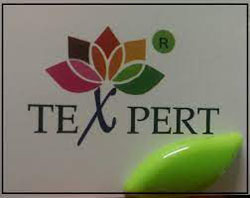 TE-X-PERT INTERNATIONAL LTD