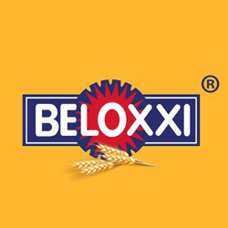  BELOXXI INDUSTRIES LTD