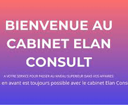 ELAN CONSULT