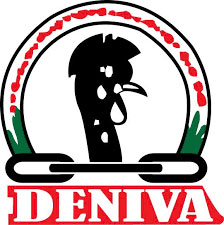 Development Network of Indigenous Voluntary Associations (DENIVA) 