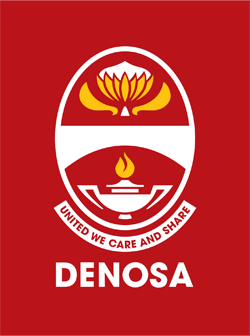 Democratic Nursing Association of South Africa
