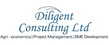 Diligent Consulting Limited