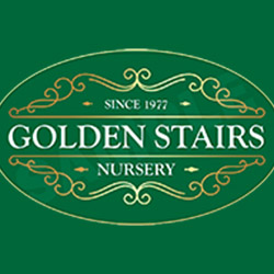 Golden Stairs Nursery