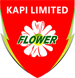 KAPI Limited