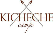  Kicheche Camp Ltd 