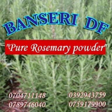 Banseri  DF