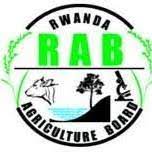 Rwanda Agriculture Board(RAB)