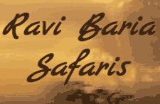 Ravi Baria Safaris 