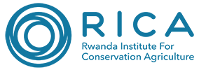 Rwanda Institute for Conservation Agriculture(RICA)