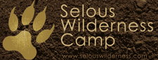 Selous Wilderness Camp 