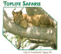 Toplife Safaris Uganda Ltd
