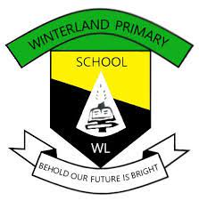 Winterland Primary school