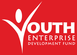 Youth Enterprise Development Fund - Kenya