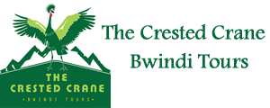 The Crested Crane Bwindi Hotel