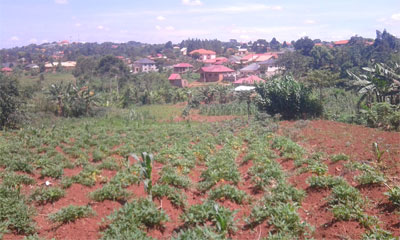 Land-Bwebajja-Entebbe