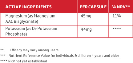 Premium-MAGNESIUM-active-ingredients