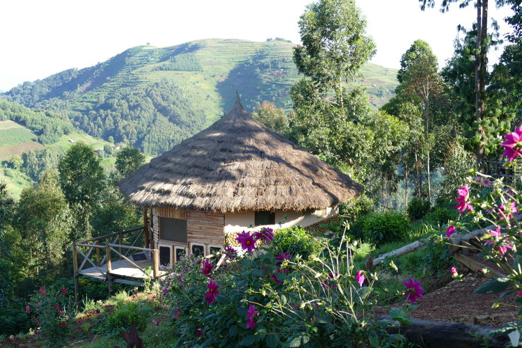 Eco-Lodge