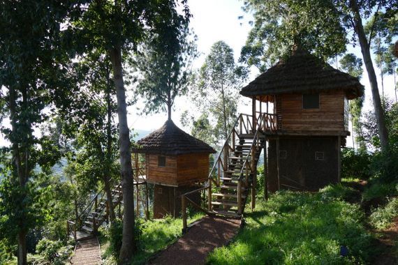 Eco-Lodge-Tree-house